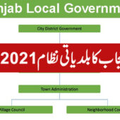 پنجاب لوکل گورنمنٹ آرڈیننس 2021