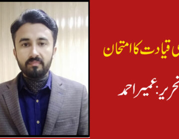 سیاسی قیادت