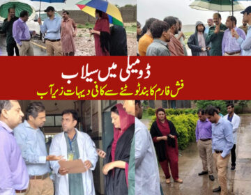 ڈومیلی میں سیلاب