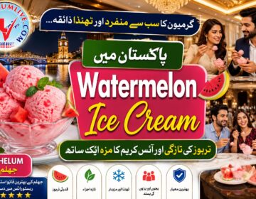 A scoop of refreshing homemade pink watermelon ice cream in Pakistan